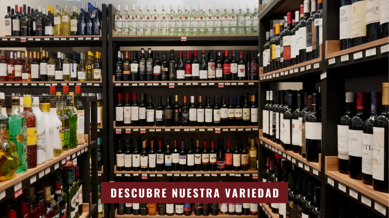 Presentación estilo portafolio minimalista moderno para fotografía 3