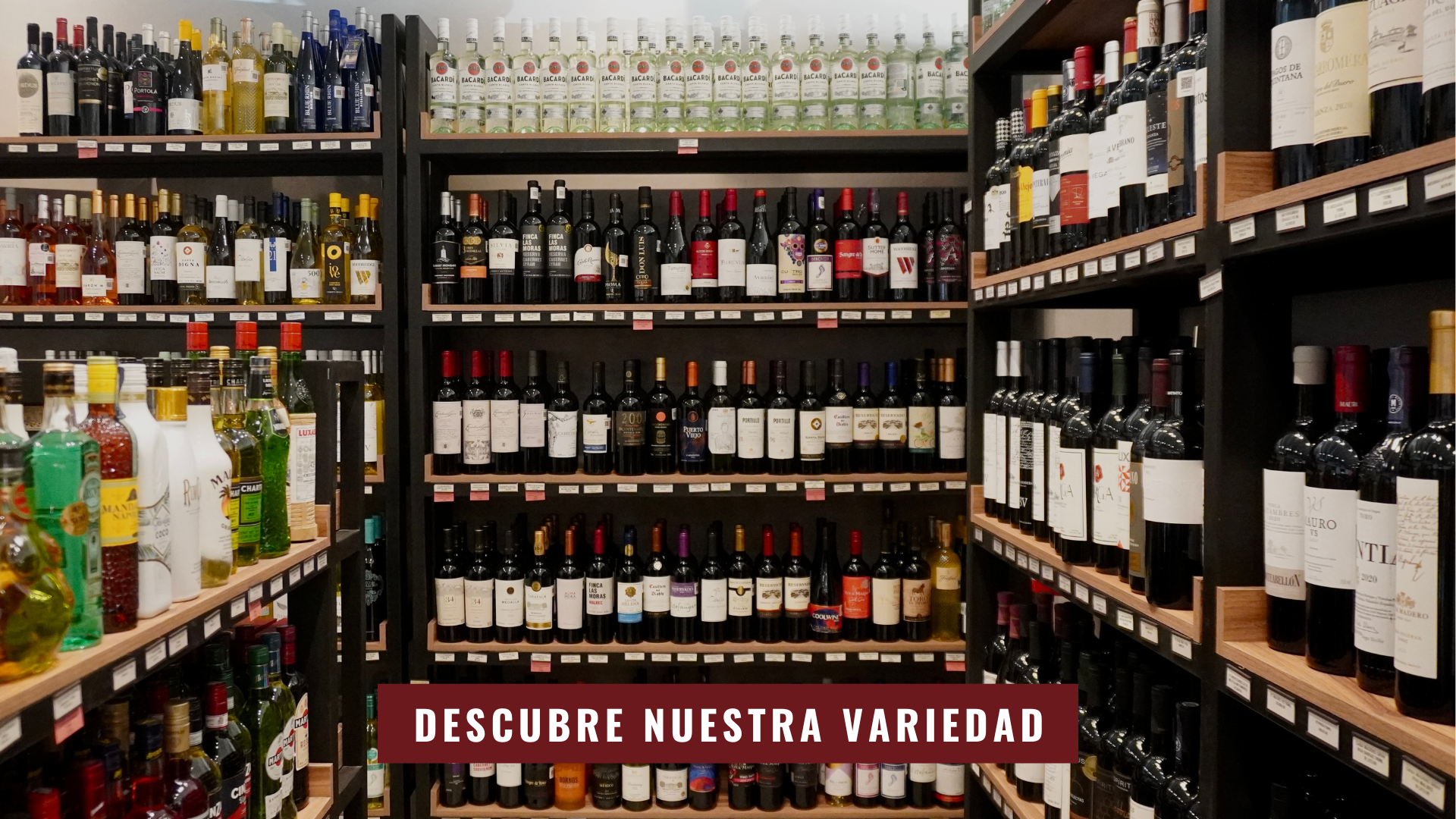 Presentación estilo portafolio minimalista moderno para fotografía 3